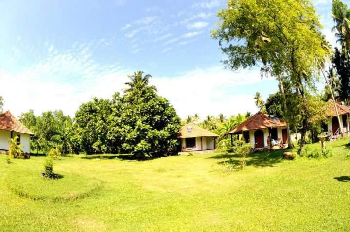 zielony dziedziniec z dwoma domami i drzewami w obiekcie Subodinee Bungalow w mieście Weligama