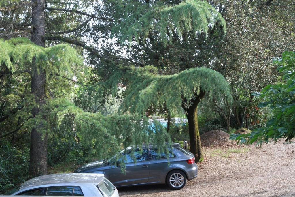 Zahrada ubytování Villa Giulia