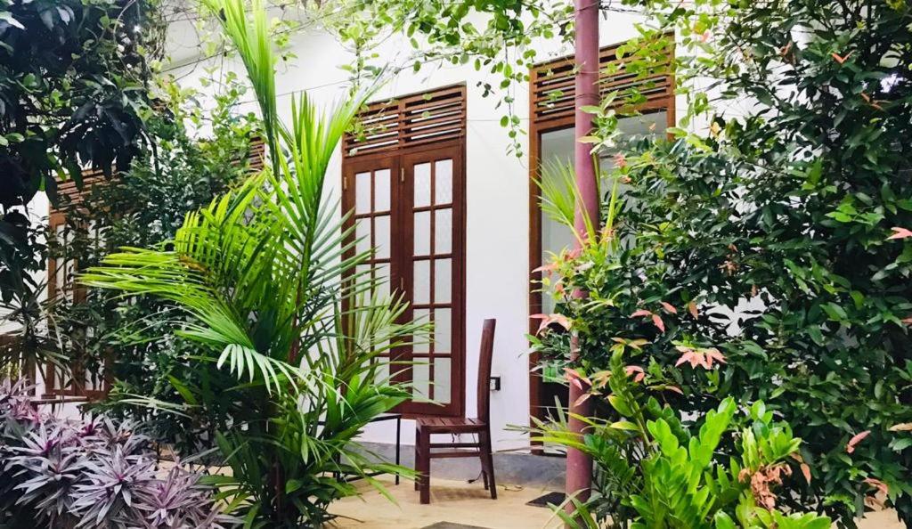 Zahrada ubytování Green jade Inn Mirissa
