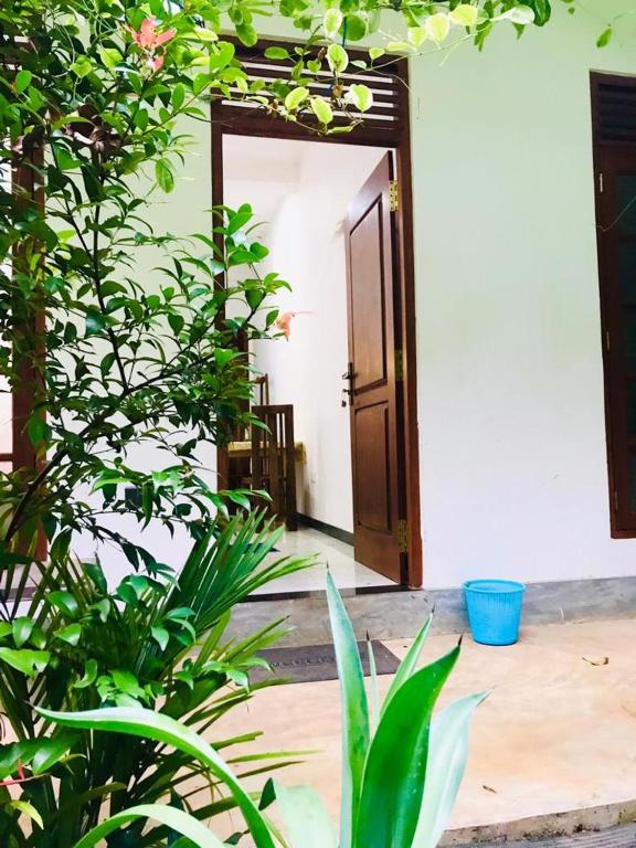 Zahrada ubytování Green jade Inn Mirissa
