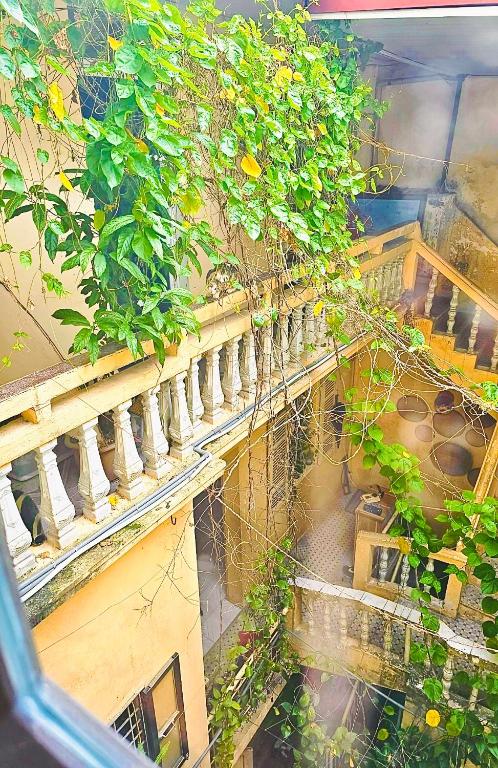 Azalea Apartment - 10