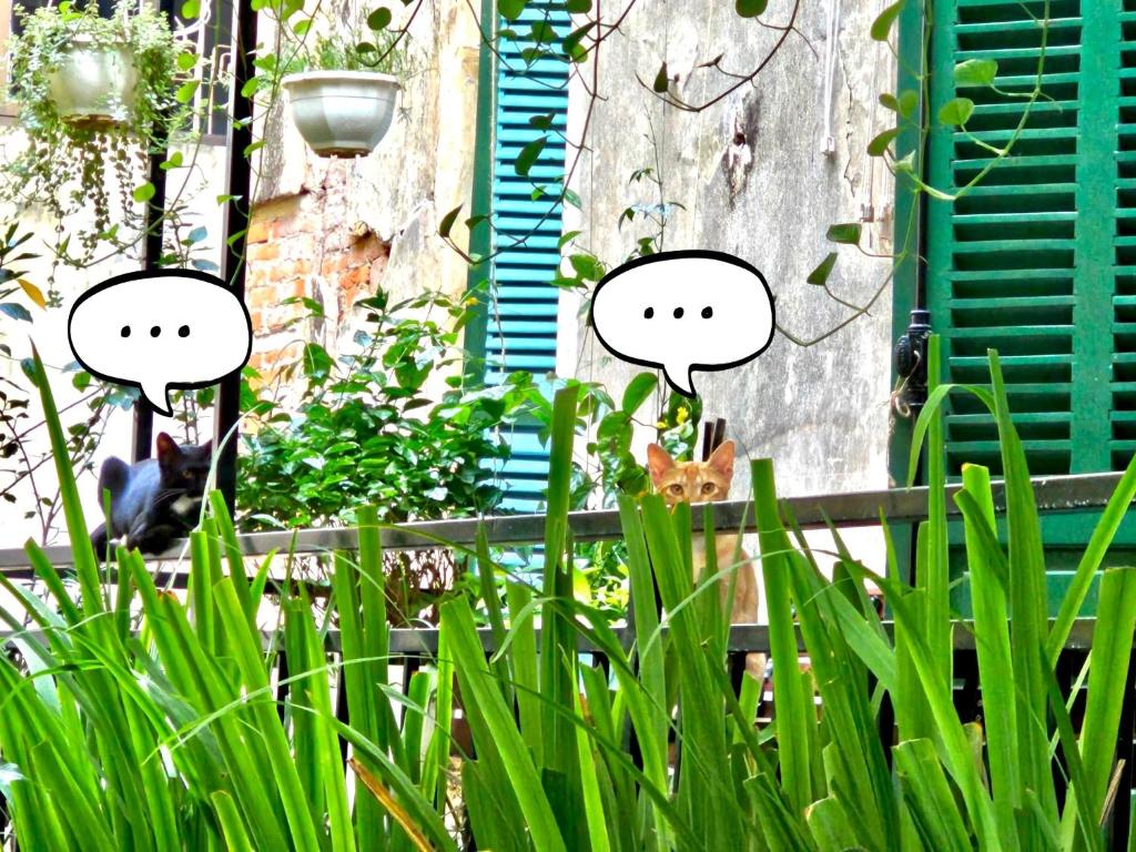 Azalea Apartment - 11