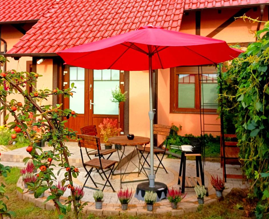 Zdjęcie z galerii obiektu Cozy apartament "APPLES" for travellers, BBQ garden at private House w mieście Sulechów