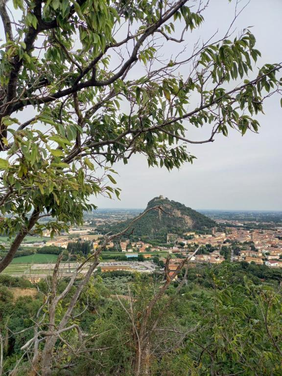 Paesaggio naturale nelle vicinanze dell'affittacamere