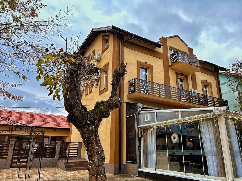 a building with a tree in front of it at RELAX - Guest House Varshets in Varshets
