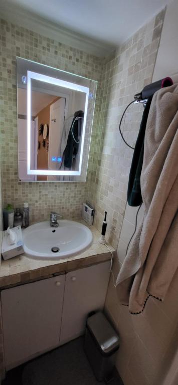 a bathroom with a sink and a mirror at Austerlitz Cocoon in Paris