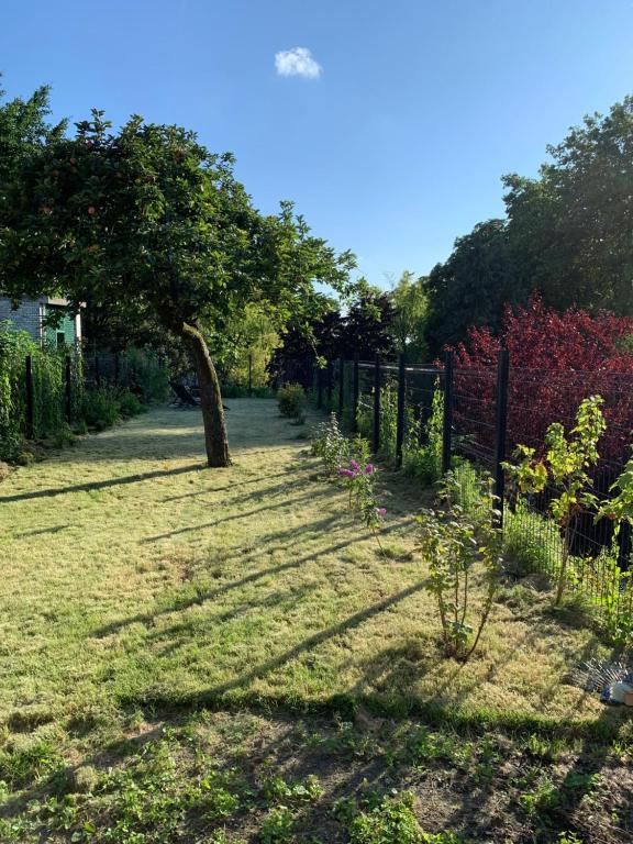 Zahrada ubytování COTTAGE DU PARC