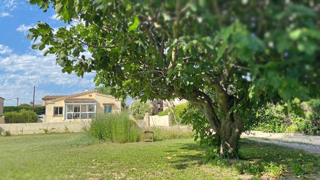 a tree in a yard in front of a house at Villa KPS in Pujaut