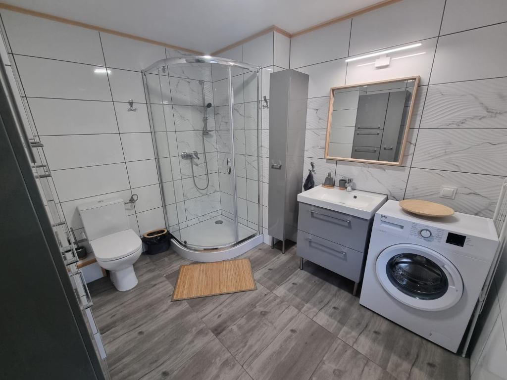 ein Bad mit einer Dusche, einem WC und einer Waschmaschine in der Unterkunft Apartamenty Salamandra in Kłodzko