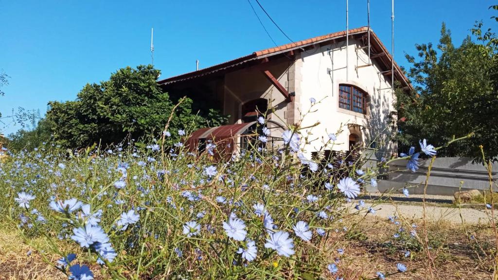 a building with a field of flowers in front of it at Albergue & Cafetería Vía de la Plata Hervás in Hervás