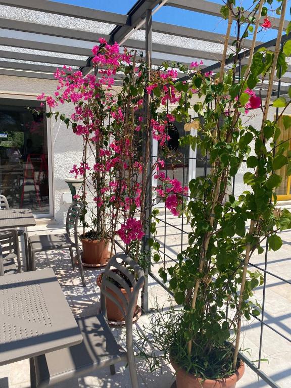 Zahrada ubytování Camping Cala dei Ginepri