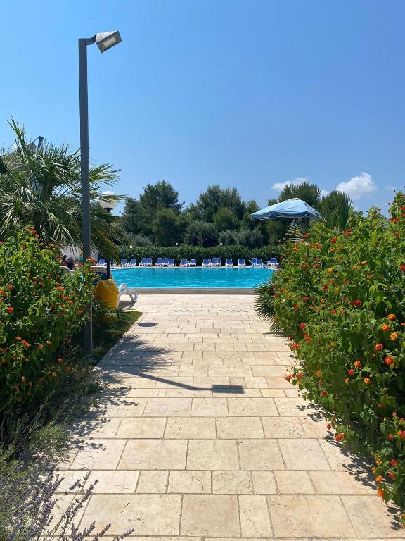 Bazén v ubytování Camping Cala dei Ginepri nebo v jeho okolí