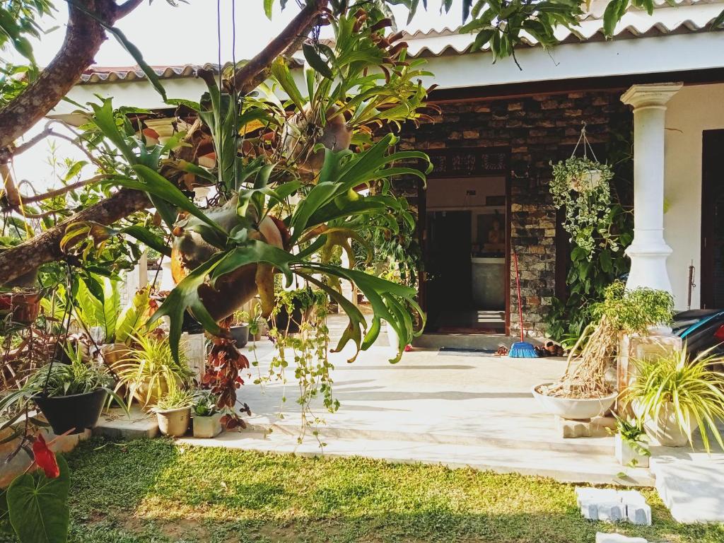 Sunrise Eco Resort في ماتارا: منزل به نباتات في الفناء الأمامي