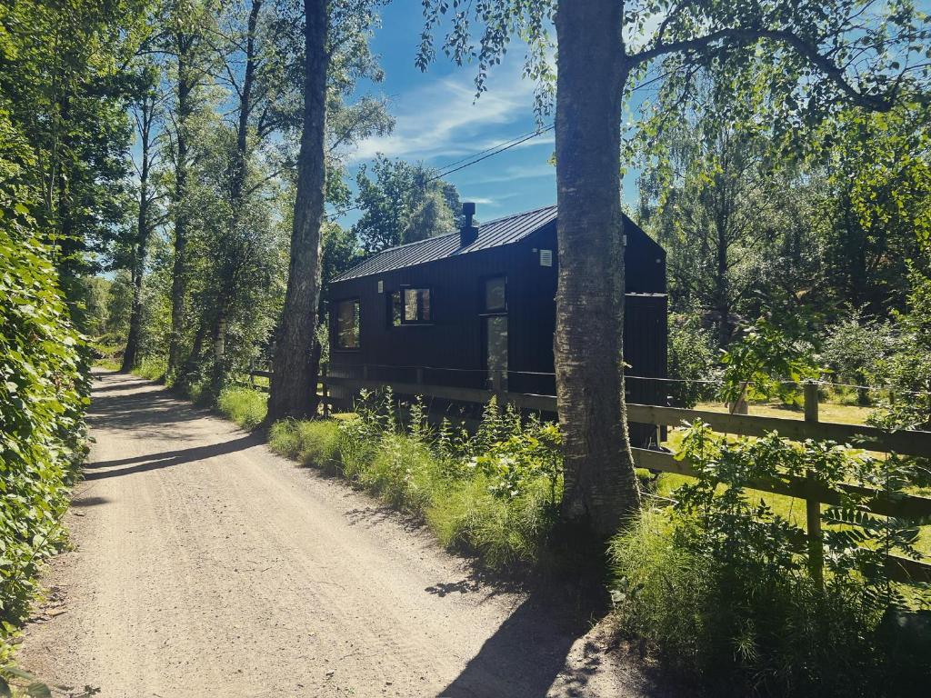 a blue cabin in the middle of a dirt road at Elevated Tiny House Glamping in Tjøme