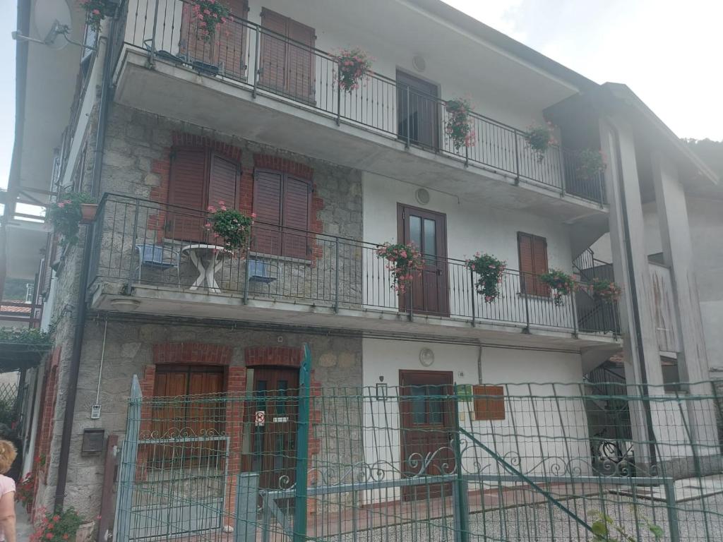 un bâtiment avec des fenêtres et des balcons avec des plantes. dans l'établissement Alloggio Petrigh 2, à Canal di Grivo
