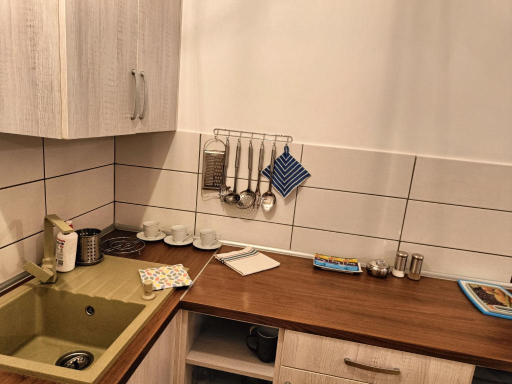 Pod Modrzewiami - Studio Apartment