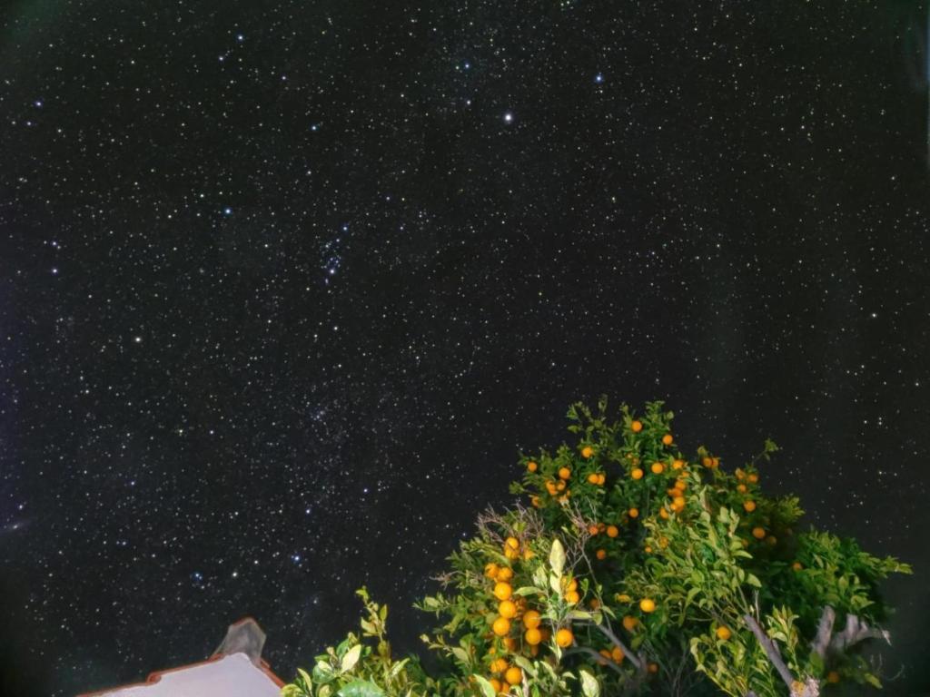 a starry night with a tree with oranges at "Rural House Servanda" - RELAX, NATURE, WIDE VIEWS OF THE SEA AND A STARRY SKY in Puntagorda