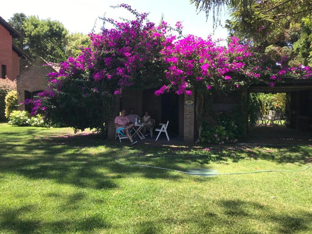 En have udenfor La Casa de Pinamar