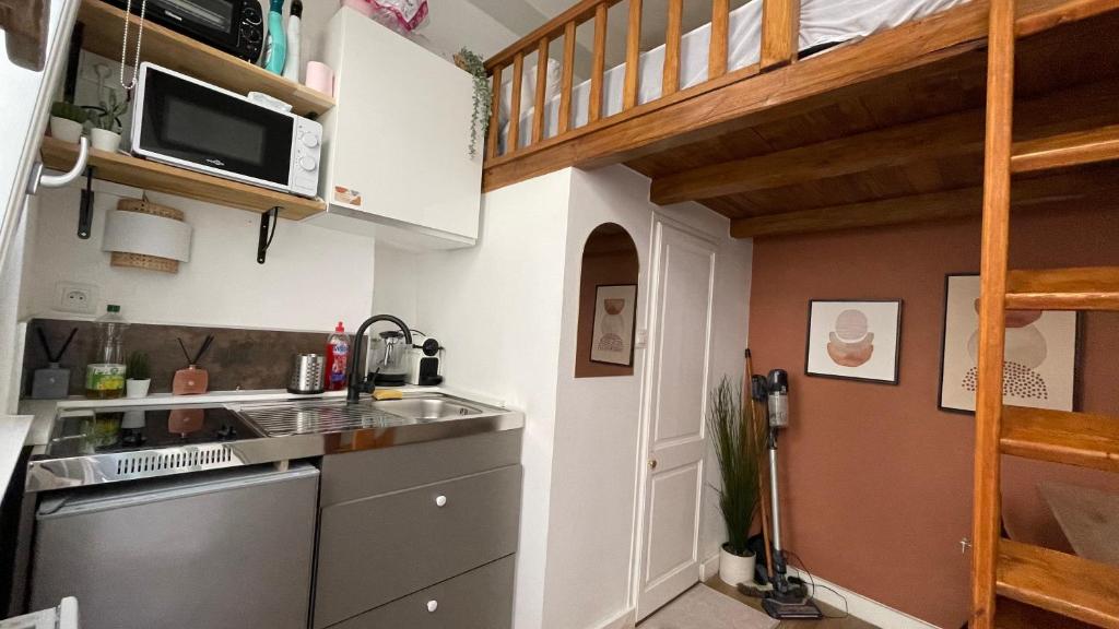 uma pequena cozinha com um lavatório e um micro-ondas em Charmant cocon au cœur de Dijon em Dijon