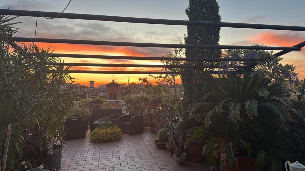 un patio con piante e un tramonto sullo sfondo di Il Giardino sui Tetti a Bologna