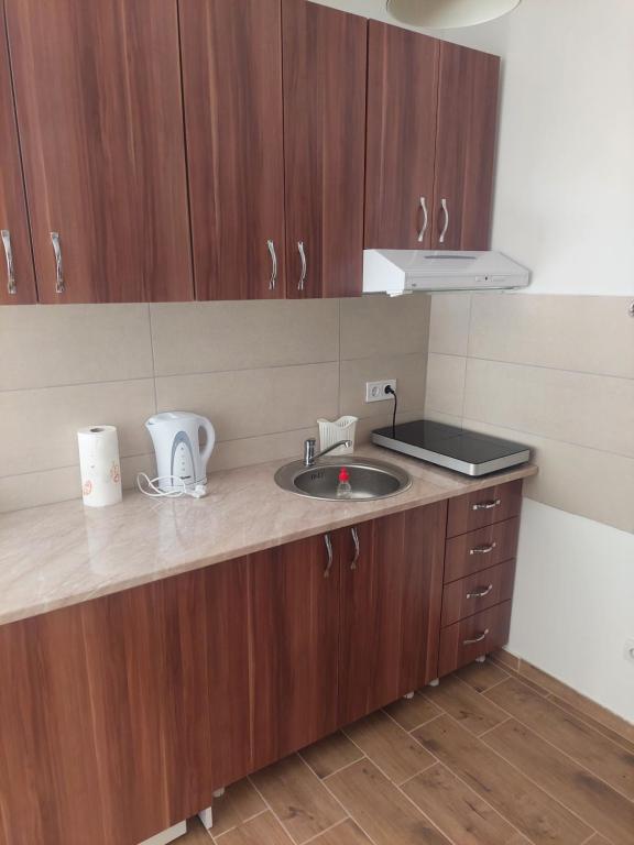 Kuchyň nebo kuchyňský kout v ubytování Apartman Todor