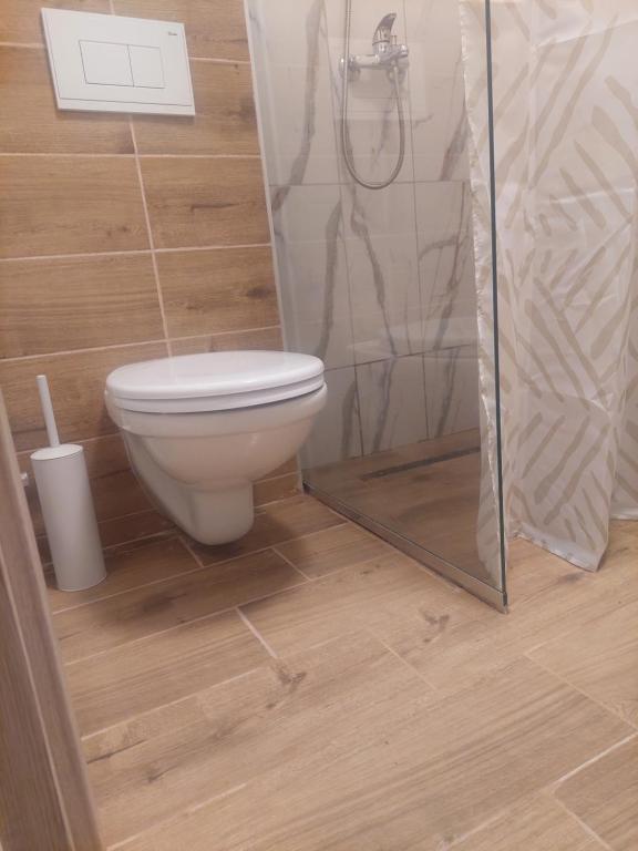 Koupelna v ubytování Apartman Todor