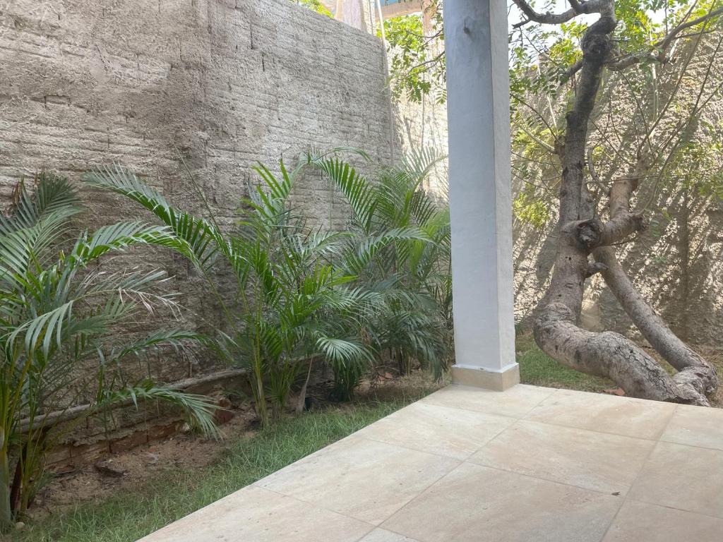 a brick wall with plants next to a sidewalk at Espaço conforto e tranquilidade CASAVEG in Canoa Quebrada