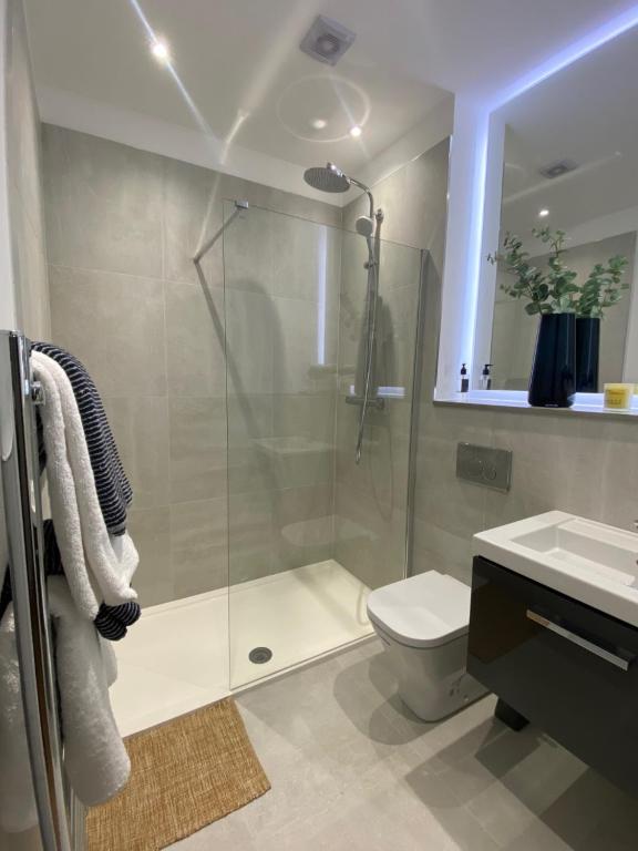 a bathroom with a shower and a toilet and a sink at Luxury Double Bedroom, near Heathrow Airport in Hillingdon