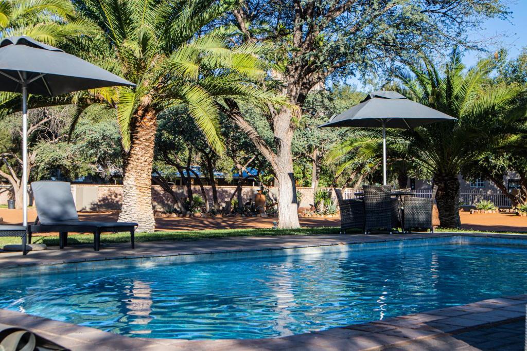 a swimming pool with chairs and umbrellas and palm trees at Arnhem Cave Lodge in Omitara
