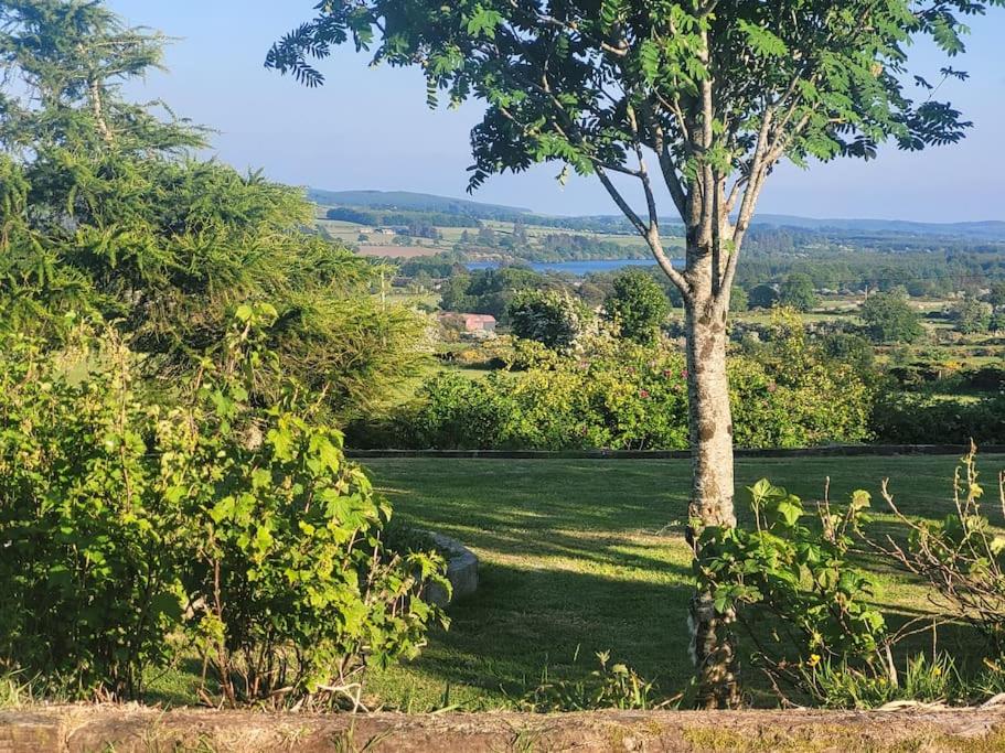 a tree in the middle of a green field at Brigadoon 3 bed Apartment with Stunning valley Veiws in Roundwood