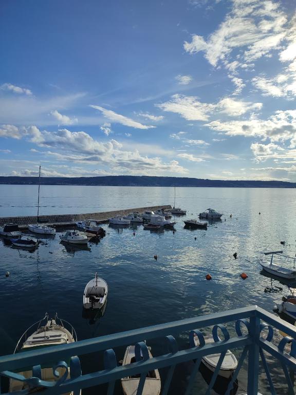 Príroda v okolí apartmánu