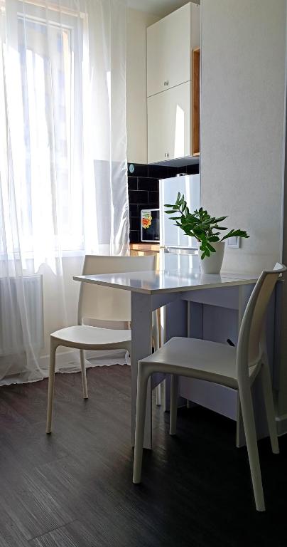une cuisine avec une table, deux chaises et une plante dans l'établissement Просторная квартира студия ЮЖД 5 минут, à Kharkov