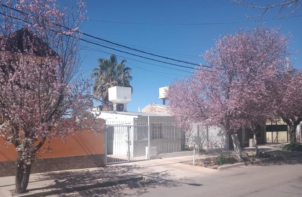 uma rua com duas árvores em frente a um edifício em IAUE EL HOGAR, una habitacion cocina,baño, estacionamiento compartido y patio em Luján de Cuyo