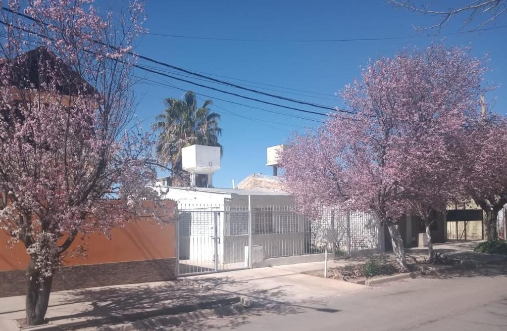 eine Straße mit zwei Bäumen vor einem Gebäude in der Unterkunft IAUE EL HOGAR, Por el momento No Brindamos el Servicio Disculpe las Molestias Muchísimas Gracias in Ciudad Lujan de Cuyo