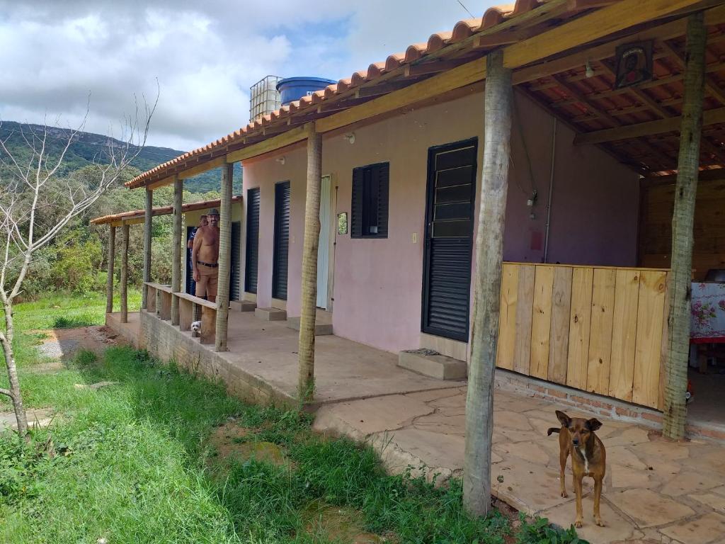 a dog standing in front of a house at camping toca raul in São Thomé das Letras