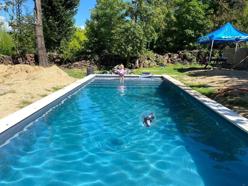 a woman in a pool with a dog in the water at Mas Mialou in Saint-Jean-du-Gard