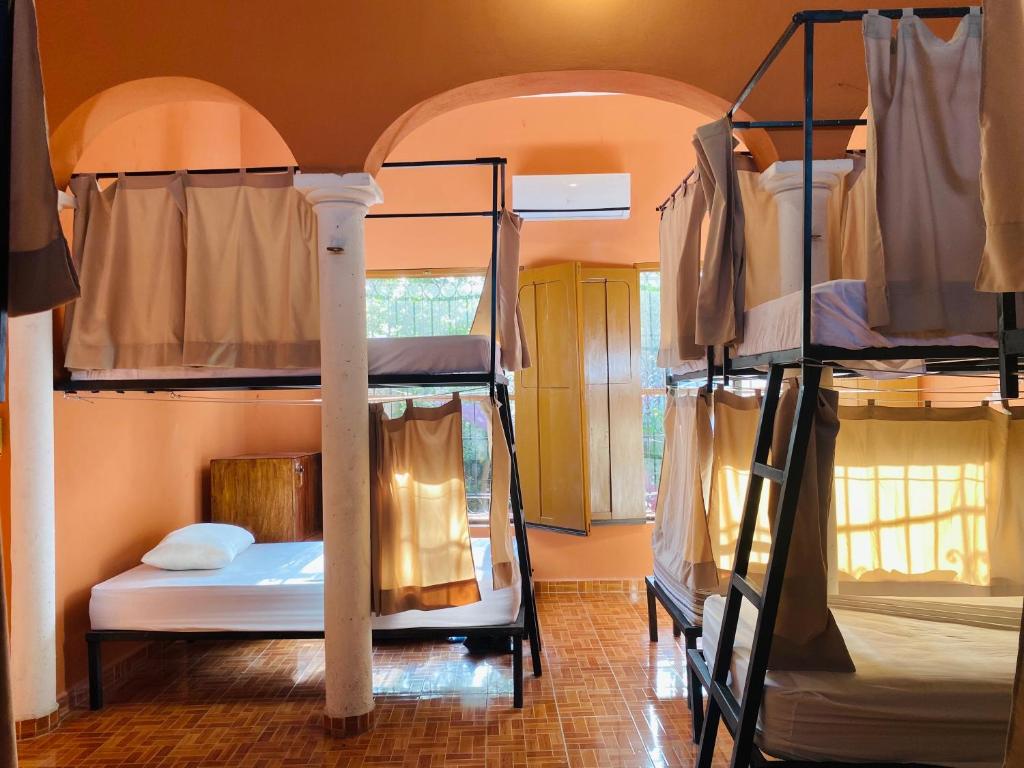 Двухъярусная кровать или двухъярусные кровати в номере Alena Hostal