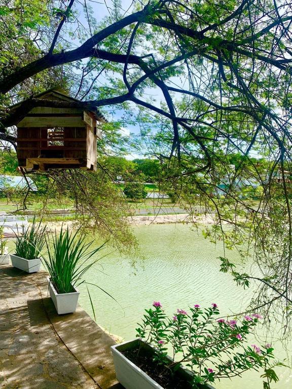 a view of a pond with plants and a house at Chalé Refidim in Gravatá