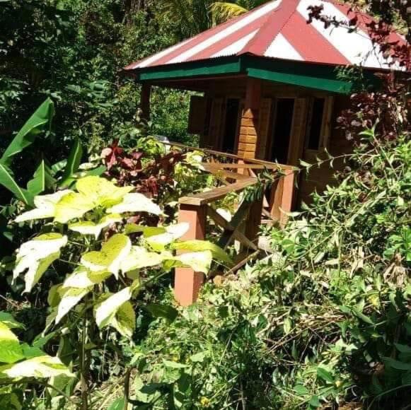 ein kleines Gebäude mit rotem Dach in den Büschen in der Unterkunft Berkey's Jungle Paradise Resort in Roseau