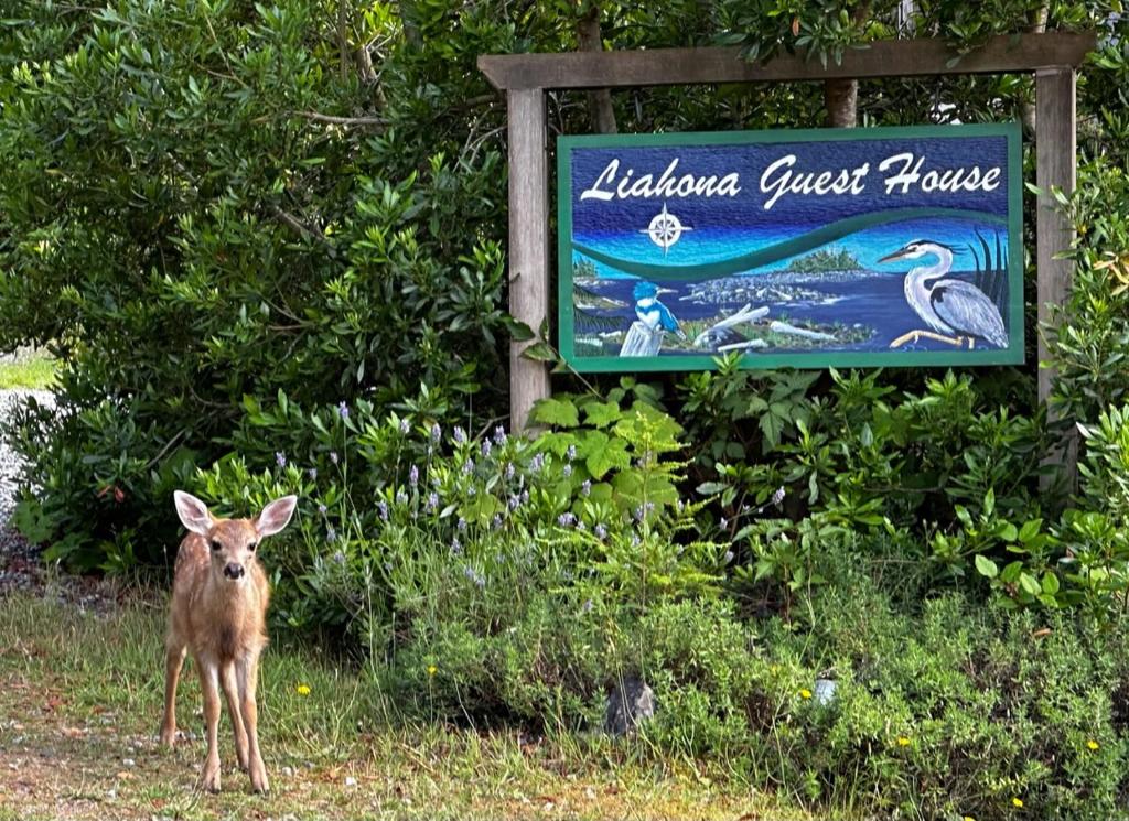 a small deer standing in front of a sign at Liahona Guest House in Ucluelet