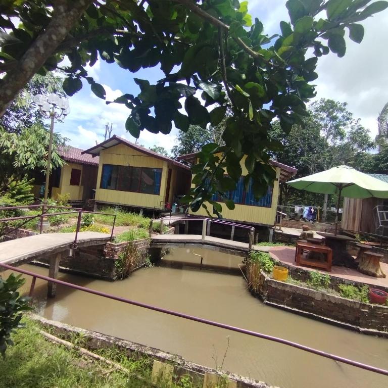 Brown House Resort - 15