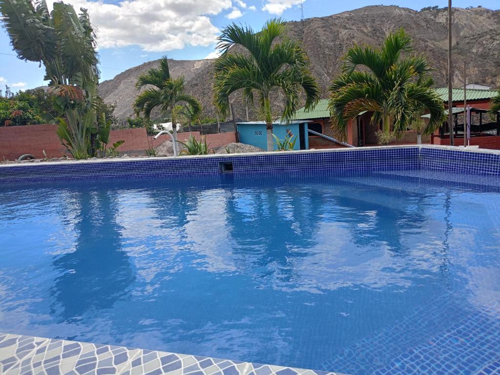 a large blue swimming pool with palm trees and mountains at Villas Norita in Ibarra