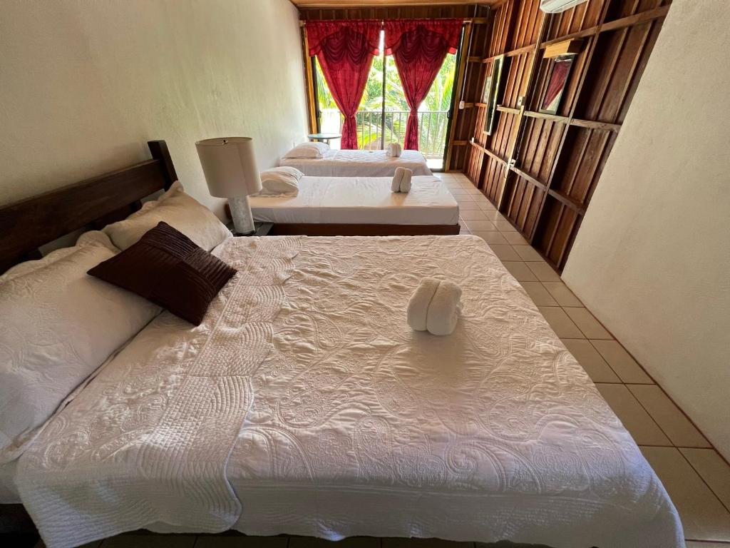 two twin beds in a bedroom with a window at Tortuguero Hill Rooms in Tortuguero