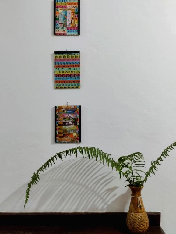 Fotografie z fotogalerie ubytování Jurema Hostel v destinaci Itacaré
