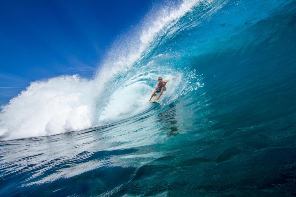 Hosté ubytování Sumatra Surf Resort