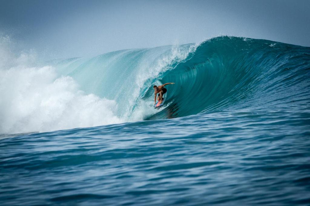 Hosté ubytování Sumatra Surf Resort