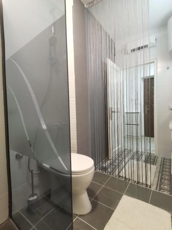 a bathroom with a toilet and a shower at Red Square Apartment in Pirot