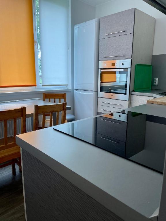 Kuchyň nebo kuchyňský kout v ubytování Apartmán VS Františkovy Lázně