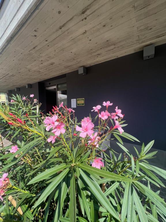 A garden outside San Valentino Hotel