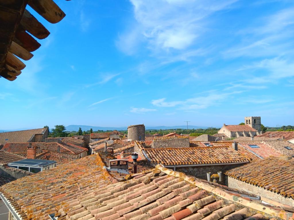 una vista aerea sui tetti di una città di La Petite Romance - Gîte 3 étoiles a Siran